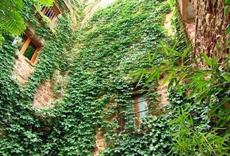 El Jardín Vertical *
