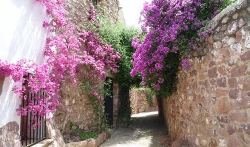 El Jardin Vertical *