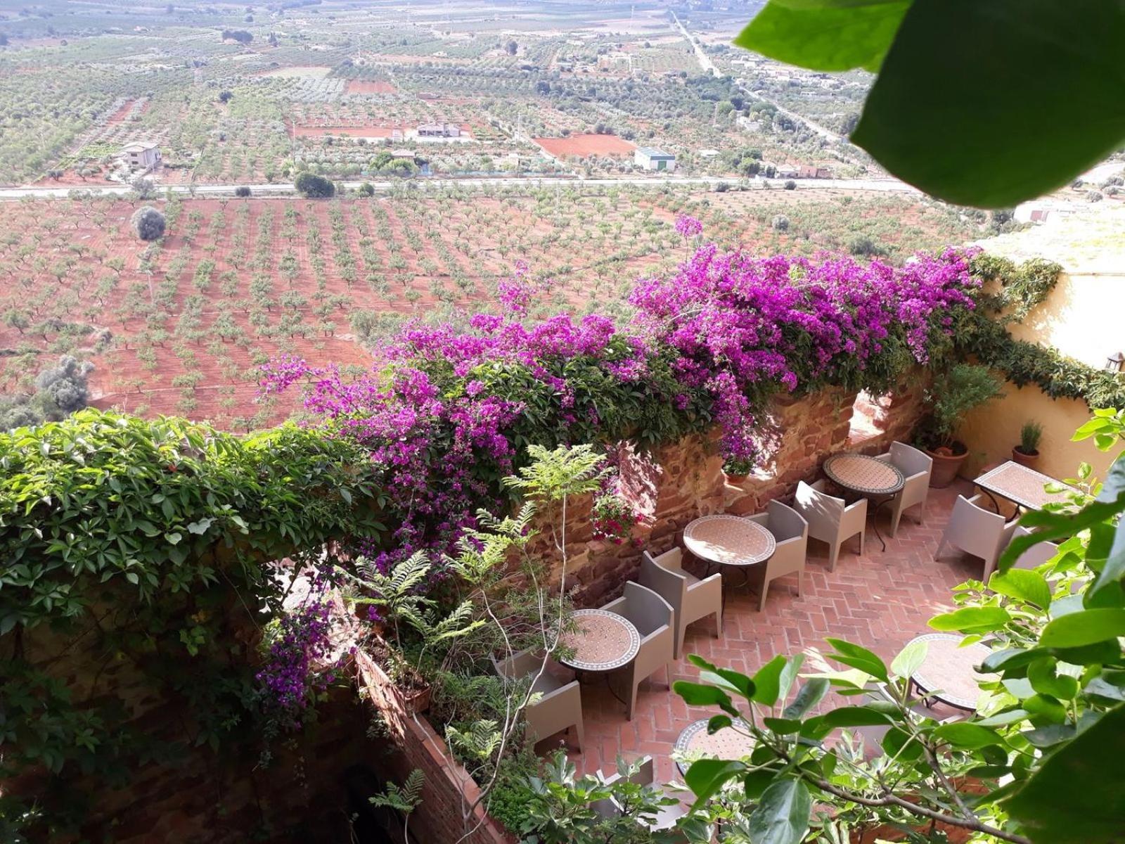 El Jardin Vertical *