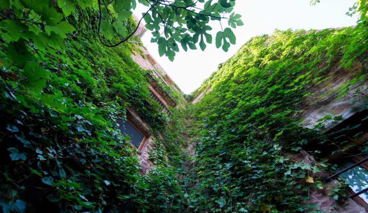 Gospodarstwo wiejskie El Jardin Vertical